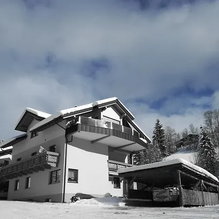 Haus Ammerer Guest house Wagrain